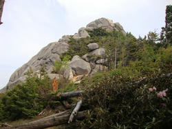 f2656ca9.jpg
