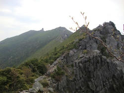 e0562d14.jpg