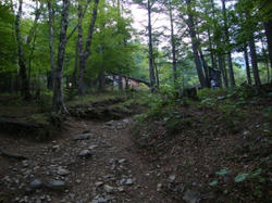 09033c19.jpg