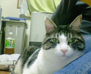 200801201801000.jpg