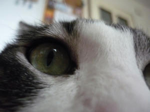 P1000125.JPG