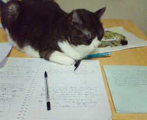 200804122239000.jpg