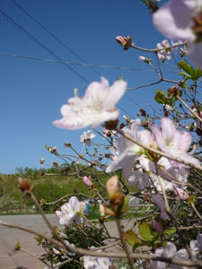 P1000414.JPG