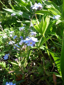 P1000421.JPG