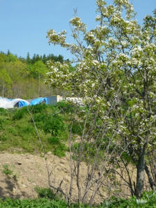 P1000438.JPG