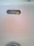 8a820227.jpeg