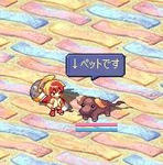 ぺっと