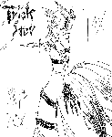 rapisu.GIF