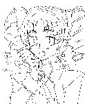 umeko.GIF