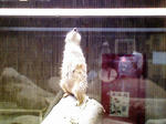 200809091618-2.jpg