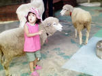 P1000048.JPG