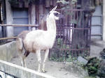 P1000046.JPG