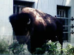 P1000044.JPG