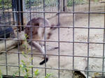 P1000053.JPG