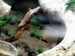 P1000035.JPG