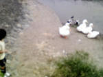 200809151503.jpg