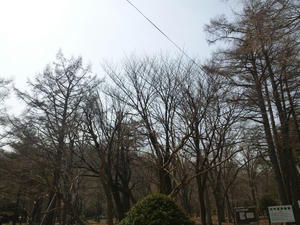 20120421.JPG