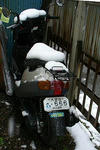 snow666