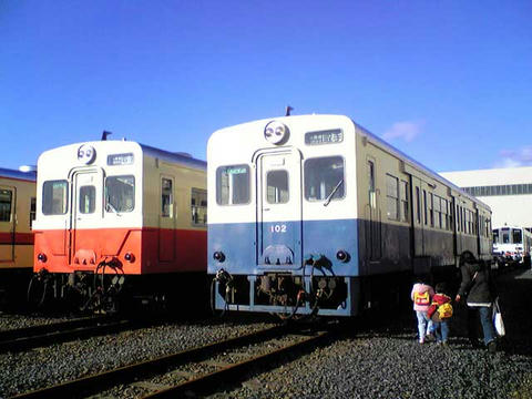 89515174.jpg