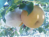 KC290064.JPG