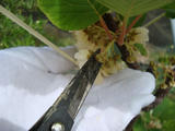 09.05.23-07.JPG