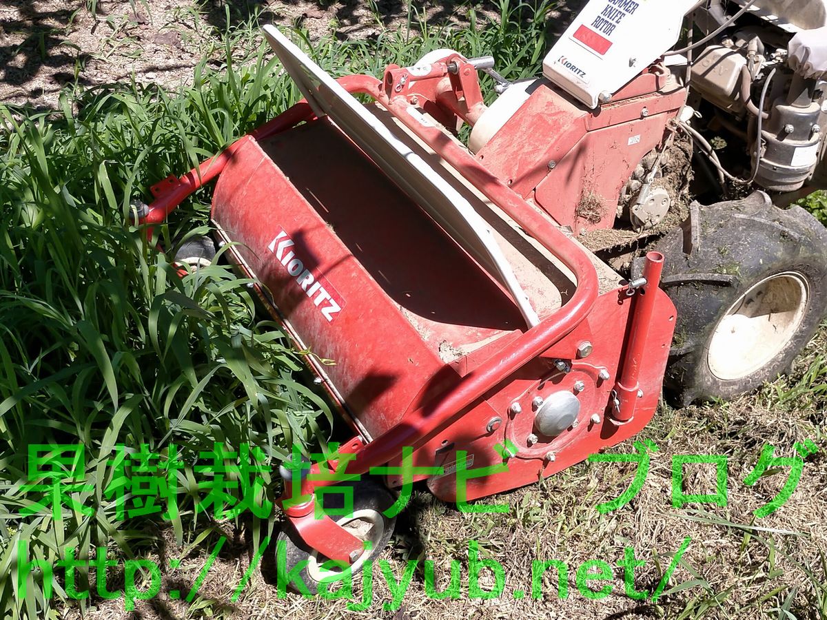 落葉処理