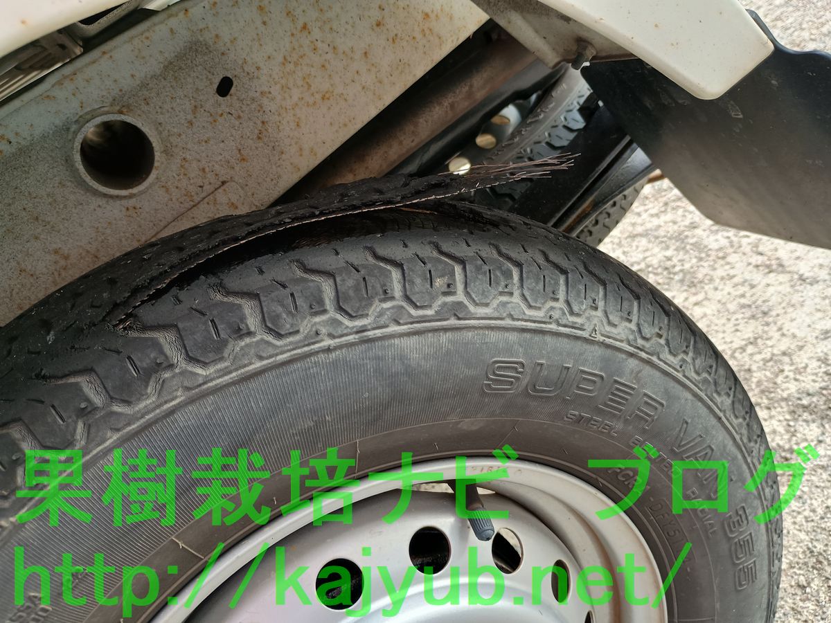 トレッドセパレーション