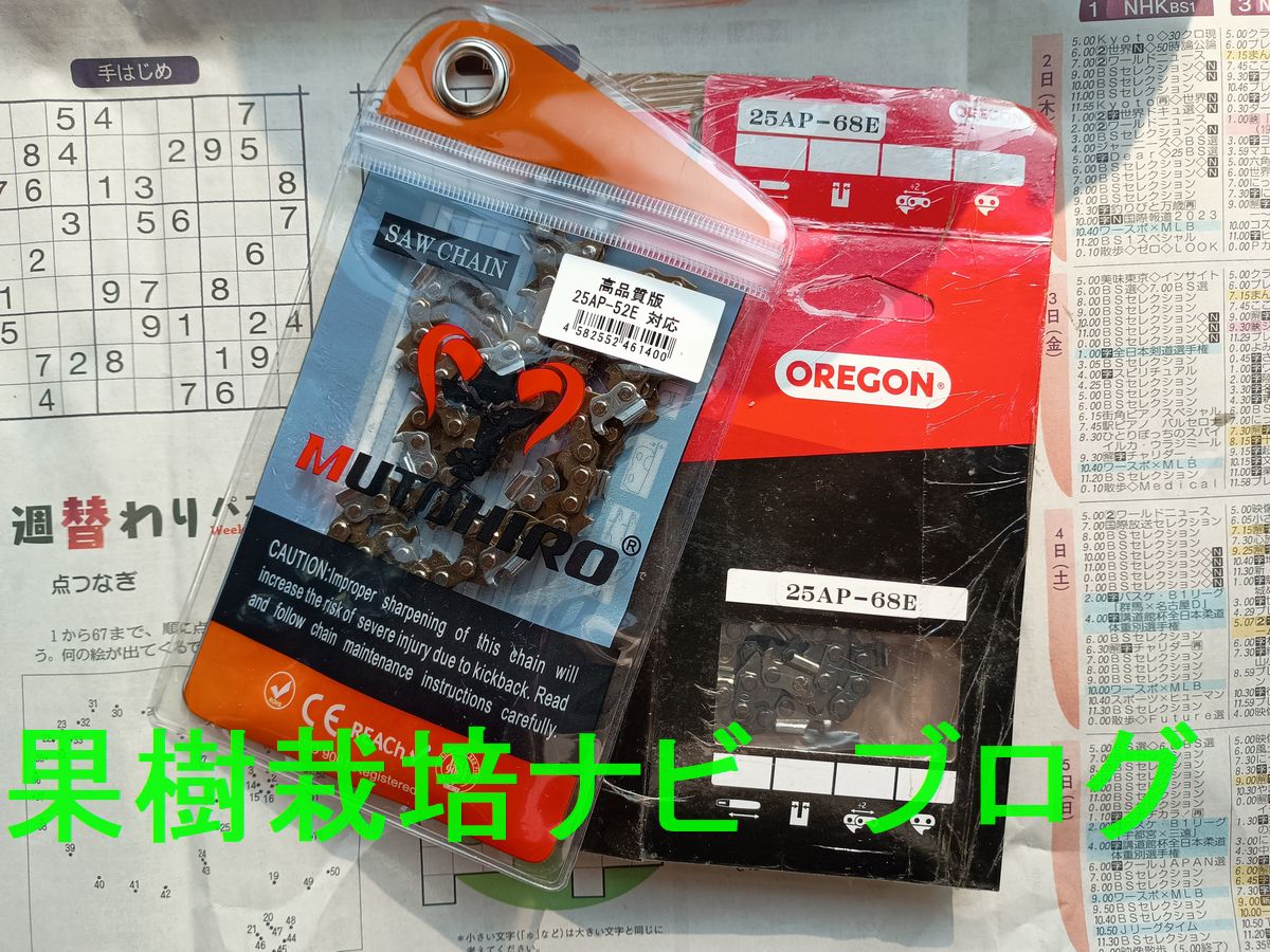 むとひろソーチェン