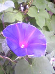 Image123.jpg