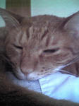 Image2021.jpg