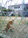 a2299be8jpeg