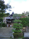 CIMG8034.JPG
