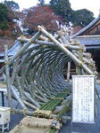 CIMG8807.JPG