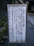 CIMG8808.JPG