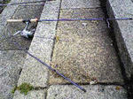 SBSH00191.JPG
