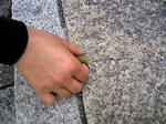 SBSH00211.JPG