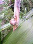 Image0061.jpg