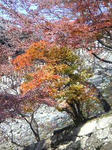Image0092.jpg