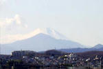 090106fuji.jpg