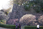 090221koukyo23.jpg