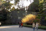 090221koukyo48.jpg