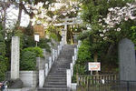 090403tamagawasengen21.jpg