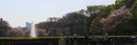 090410ueno-park02.jpg