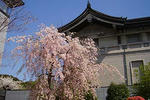 090410tokyo_n_museum03.jpg