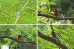 090502shoumyouji01.jpg