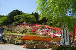 090427godaison_tsutsuji02.jpg