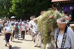090607jamokamo11.jpg