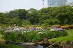 090613koukyo13.jpg