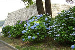 090613koukyo29.jpg