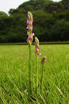 090613koukyo52.jpg